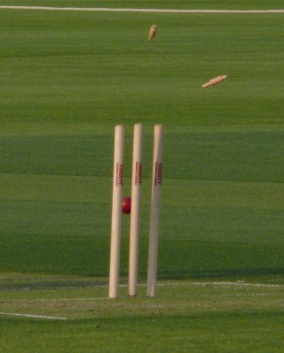 Wicket_being_hit_by_a_ball. Cricket