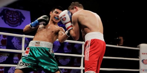 Mexico Guerreros Boxer