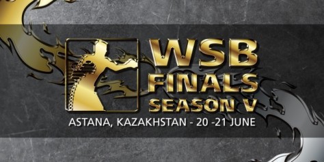 WSB FINALS Official Logo