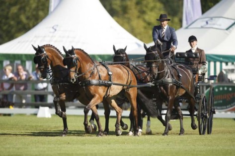 IJsbrand Chardon (NED) has won the dressage phase of the FEI European Driving Championships for Four-in-Hand 2015 in Aachen – all eyes are now on tomorrow’s second phase, the cones, before the European individual and team champions are crowned after the marathon stage on Saturday, 22 August. (FEI/Dirk Caremans) 