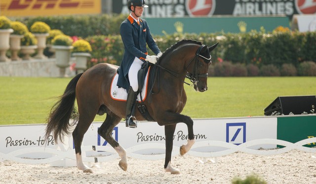 FEI European Championships Aachen 2015 – Germany Holds The Advantage After Day 1 of Dressage