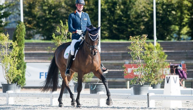 FEI European Para-Equestrian Dressage Championships: Orange Is The New Gold As The Netherlands Top The Medal Table